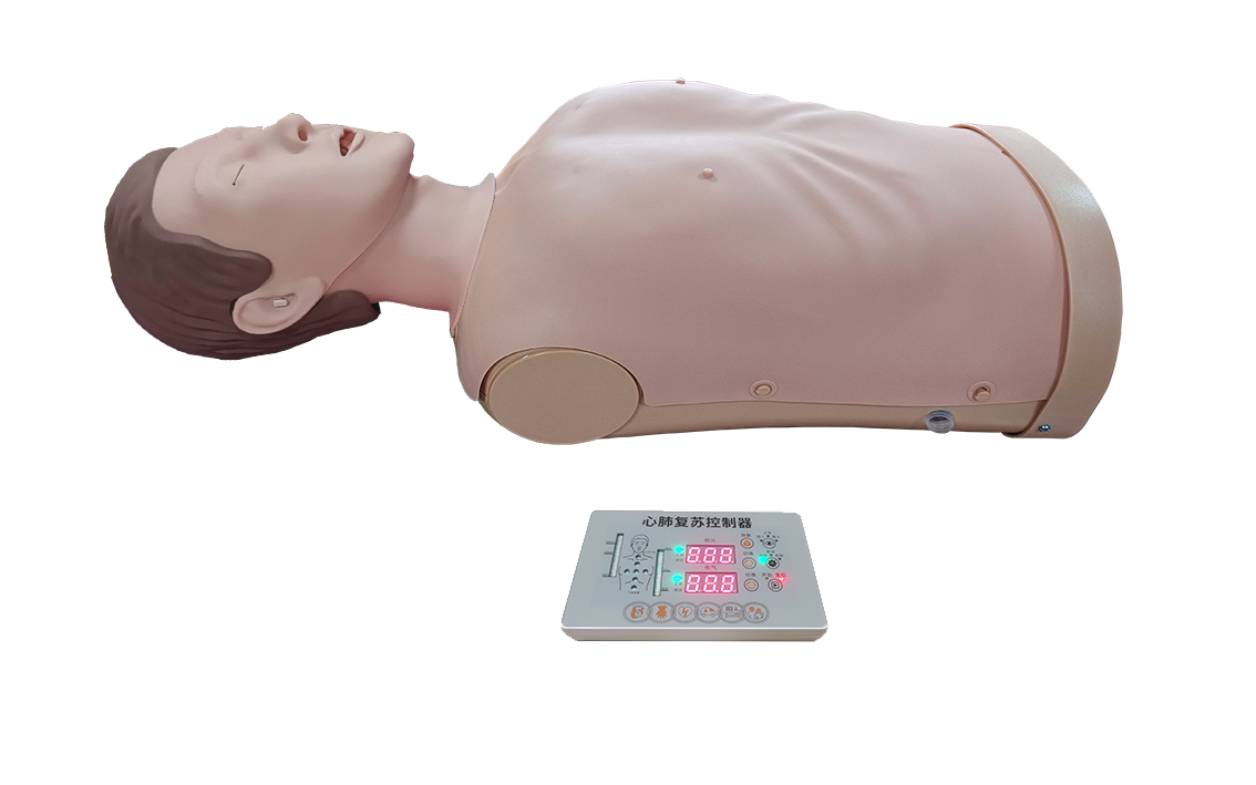 MJ305 触摸式电子半身心肺复苏模型(新版)